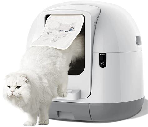 best electric self cleaning litter box|affordable self cleaning litter boxes.